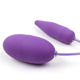 12 Frequency 2 Shapes Vibrating Eggs - Ur X Toys